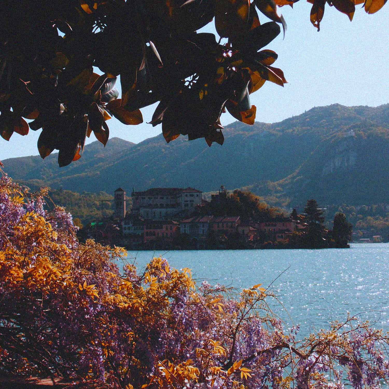 orta